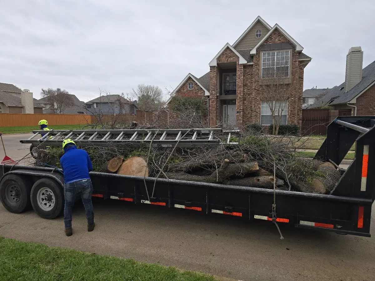 Expert Tree Removal with proper safety equipment in Dowelltown
